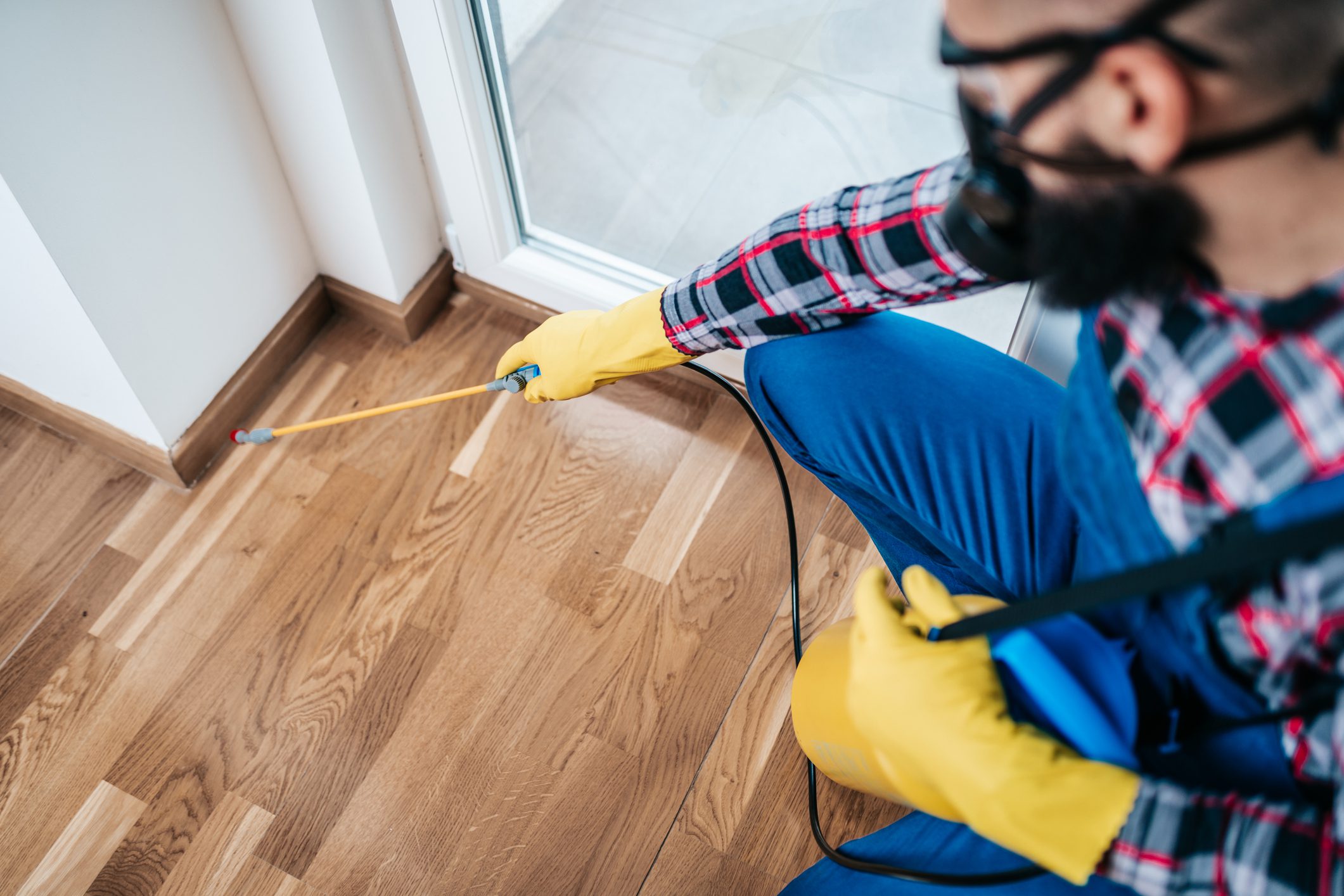 Exterminator spraying pesticide indoors
